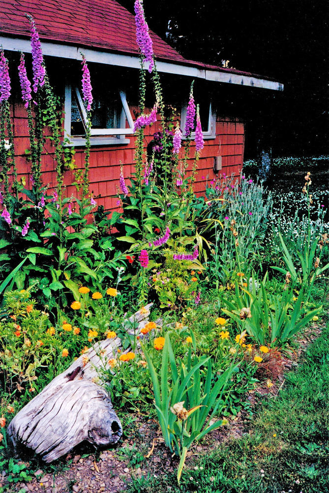 Driftwood Village Cottages Sturdies Bay Exterior photo